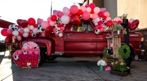 Organic Balloon Decor Garland in Pink and Cow Print